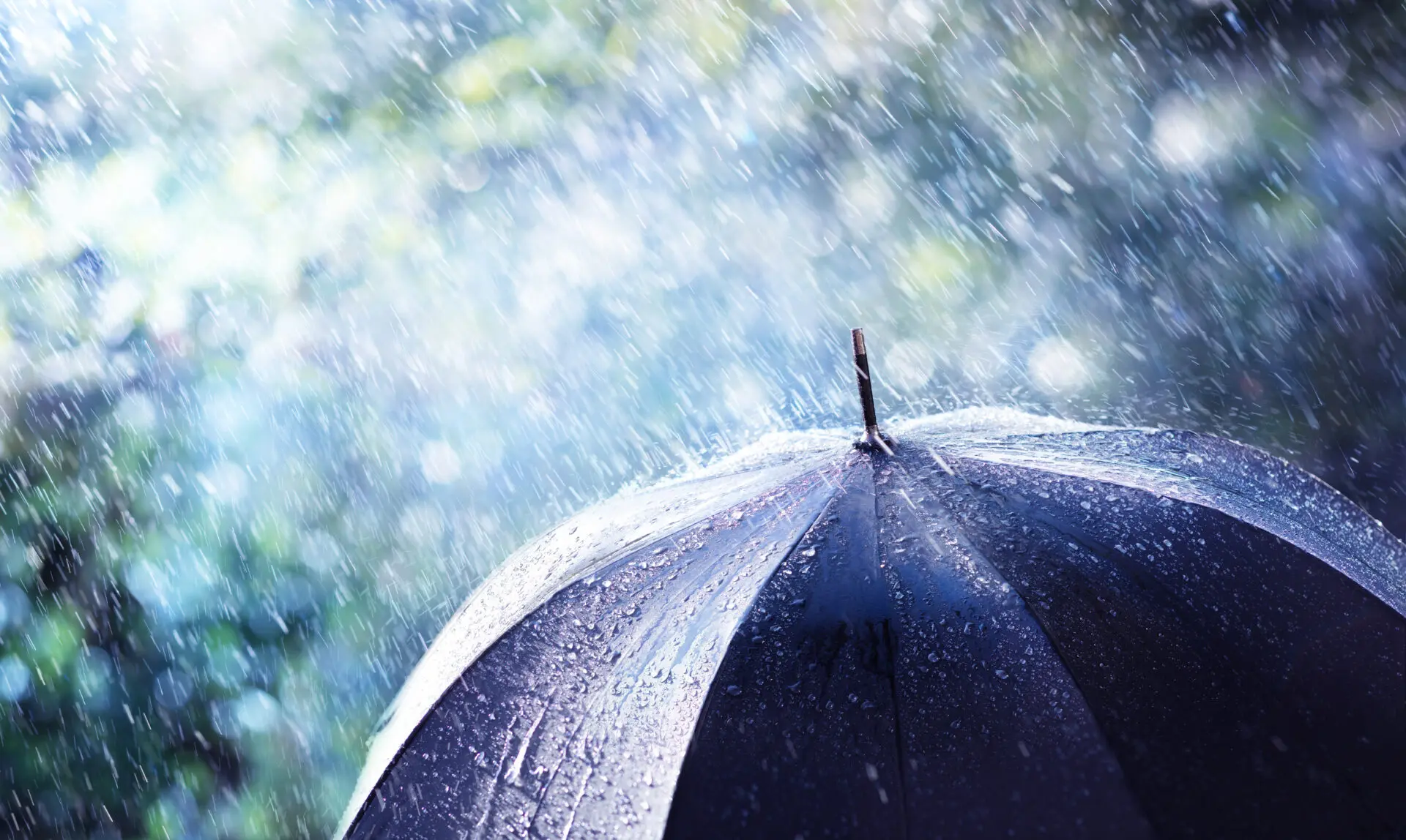 Heftiger Regen und Wind peitschen gegen einen schwarzen Regenschirm während eines Unwetters.
