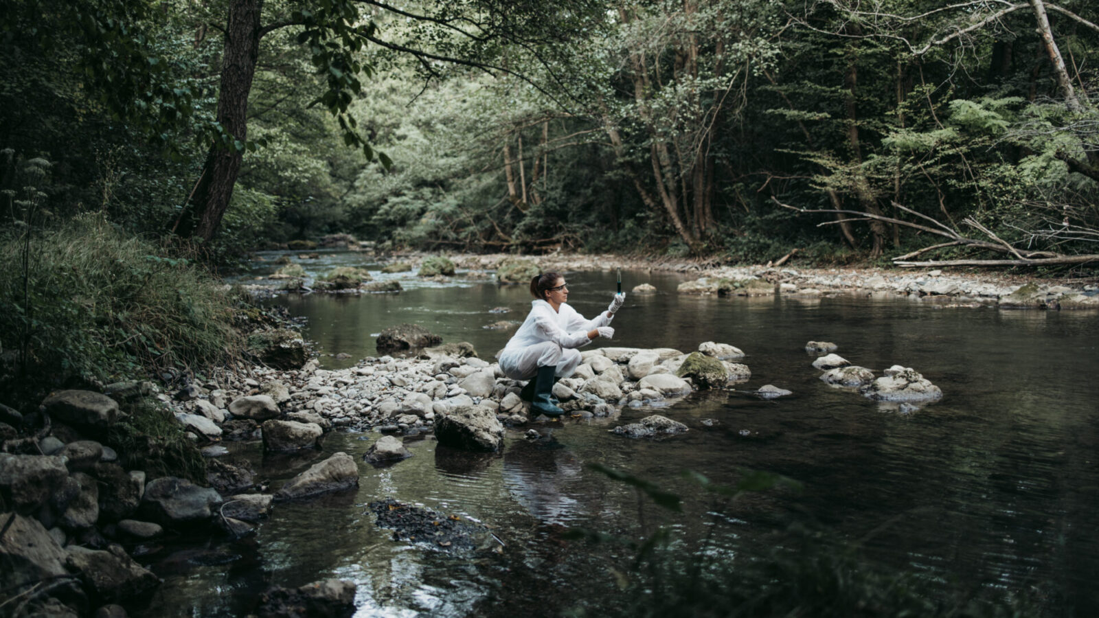 Scientist in protective clothing takes a water sample from a natural river to analyse the water quality.