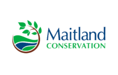 Maitland Conservation logo featuring a stylized tree with green leaves and blue water within a circular brown outline, alongside the words Maitland Conservation.