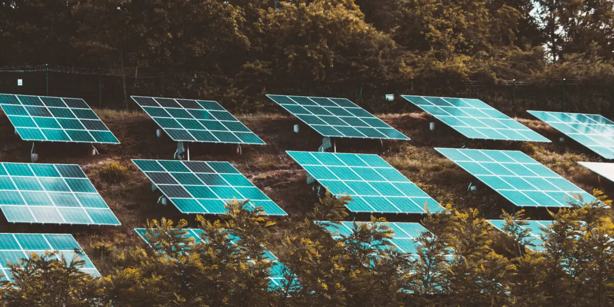 Solar panels surrounded by lush vegetation and trees generate sustainable energy.