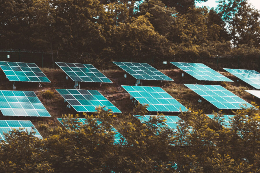 Solarpanele inmitten üppiger Vegetation, umgeben von Bäumen, erzeugen nachhaltige Energie.