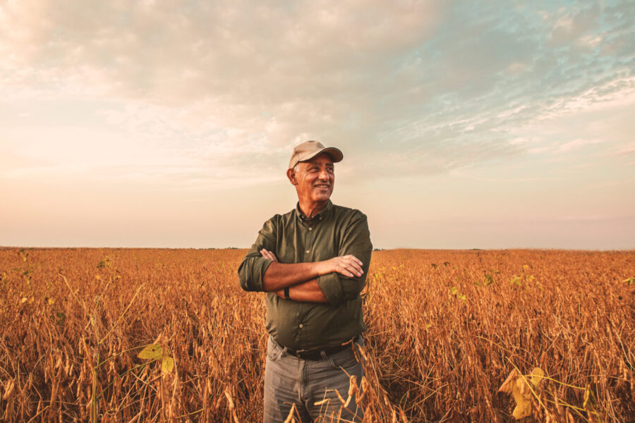 Ein älterer Landwirt inspiziert bei Sonnenuntergang die Sojabohnenernte auf seinem Feld.