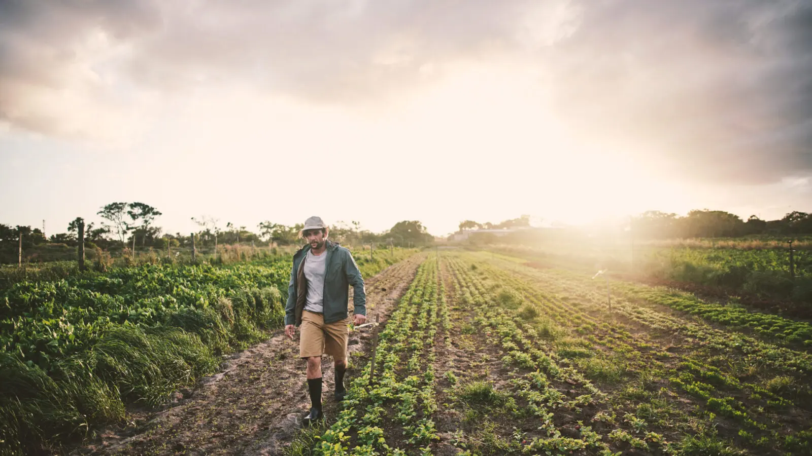 A young man walks across a field and works in nature - agriculture and sustainable fieldwork.
