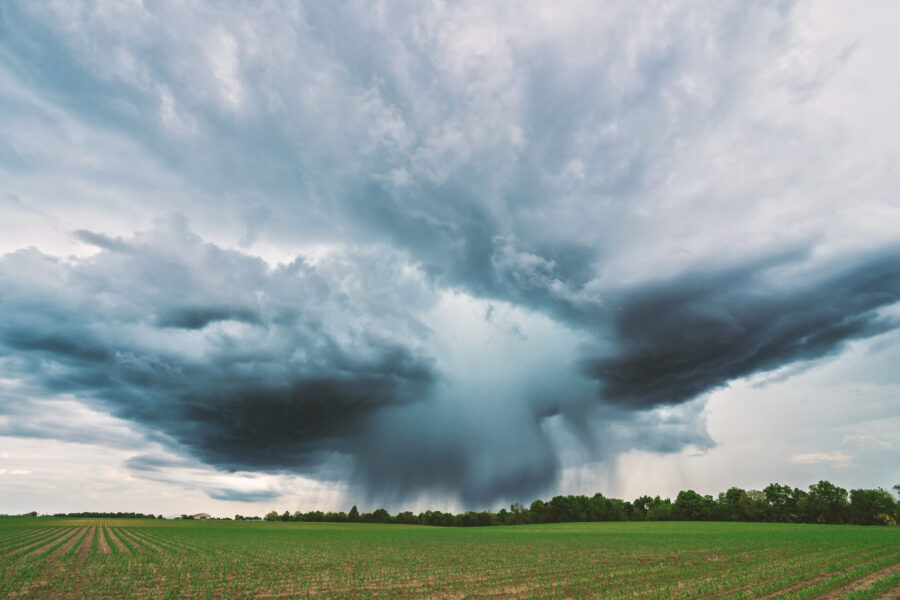 Dunkle, dramatische Wolken über einem Feld mit Bäumen im Hintergrund und einsetzender Niederschlag.
