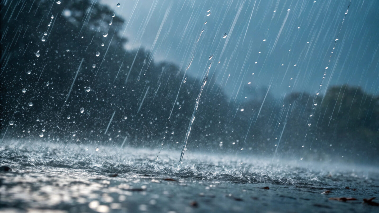 Starker Regen, der auf den Boden fällt, mit sichtbaren Regentropfen; Bäume sind durch den Regenguss schwach zu erkennen.