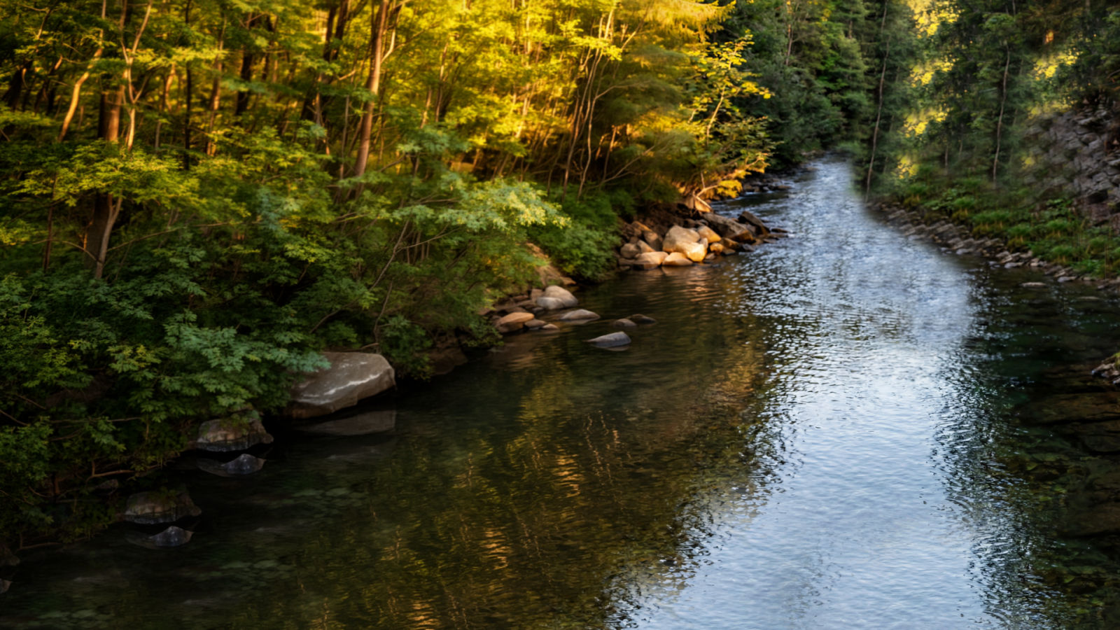 Image Landscape HyQuant