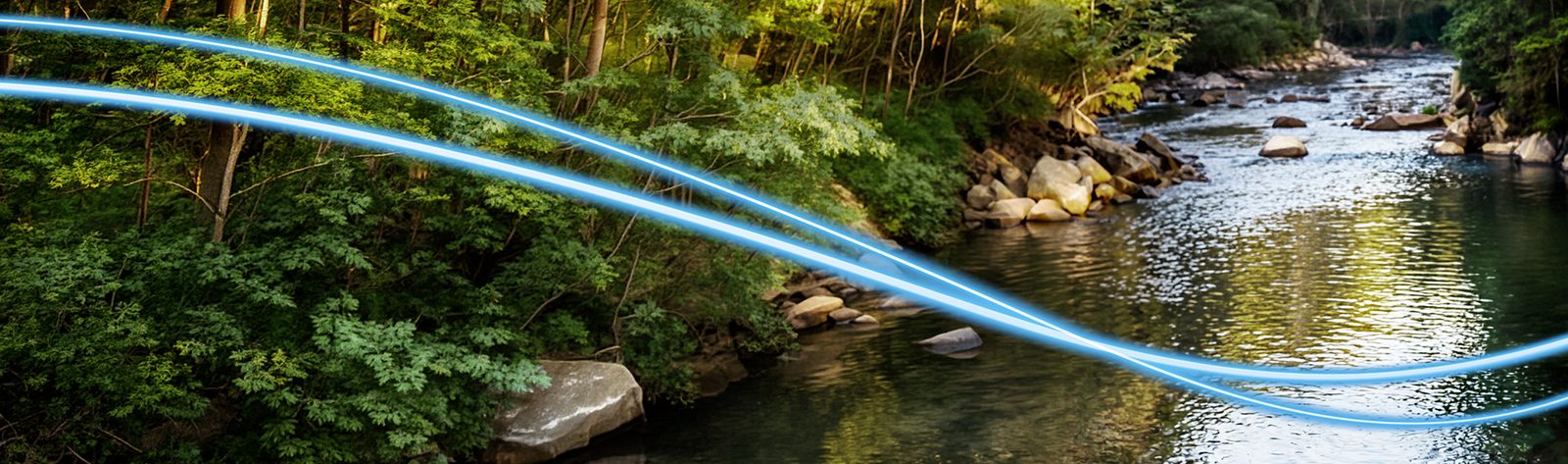 Image Landscape HyQuant