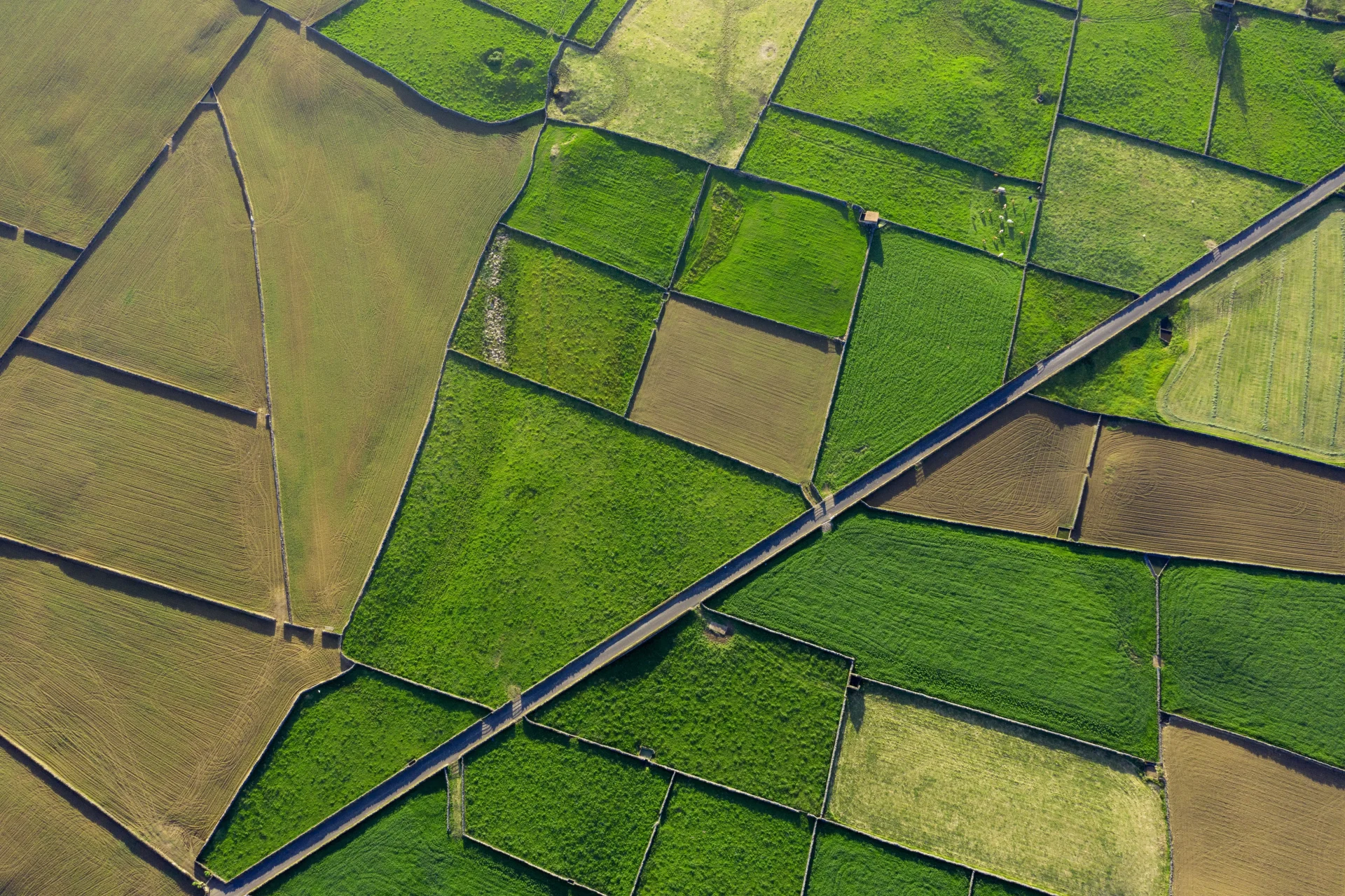 Aerial view of green and brown rectangular farm fields divided by stone walls and crossed diagonally by a road. The fields vary in color and texture, forming a patchwork pattern.