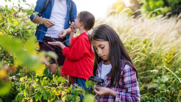 girl examines plant leaves under magnifying lens; another student & teacher pick fruit via Unsplash